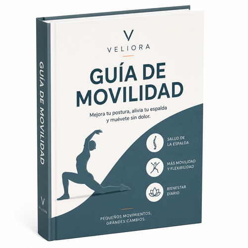 Guía de movilidad